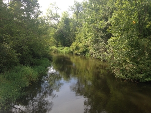 Wing River near Todd Co Line